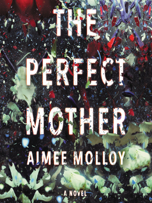 Title details for The Perfect Mother by Aimee Molloy - Available